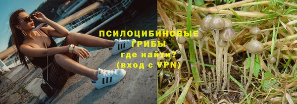 тгк Балахна