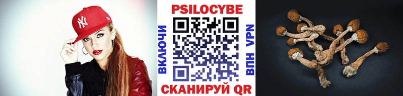 Галлюциногенные грибы мухоморы наркошоп Светогорск
